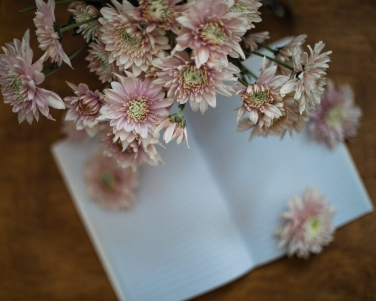 Journal Prompts That Will Inspire You