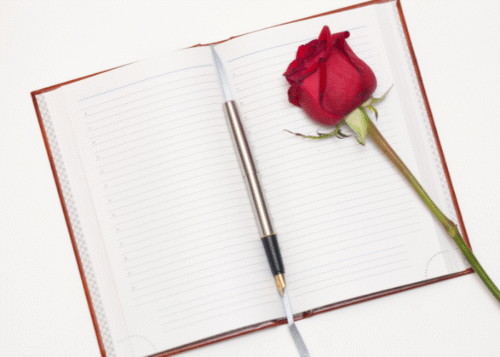 Dear Diary